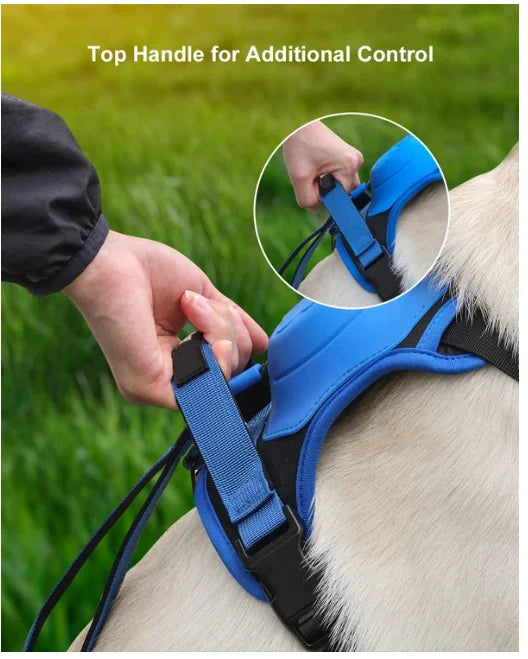 Dog Harness and Retractable Leash Set All-in-One