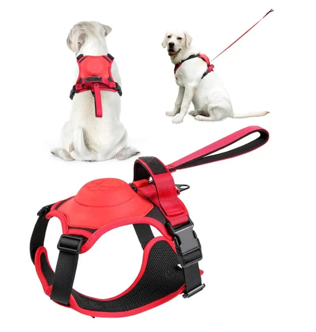 Dog Harness and Retractable Leash Set All-in-One