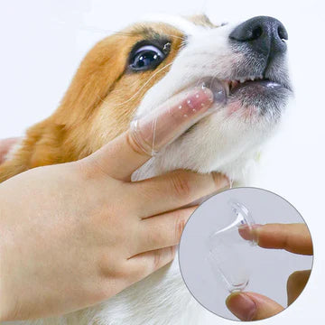 Pet Finger Toothbrush Teddy Dog Brush Bad Breath