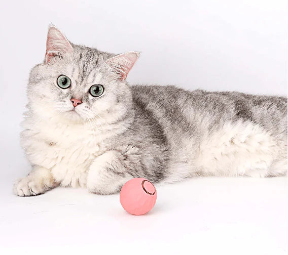 Electric Cat Ball Toys Automatic Rolling Ball For Cats.