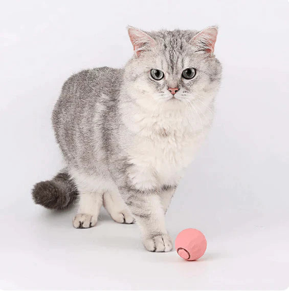 Electric Cat Ball Toys Automatic Rolling Ball For Cats.