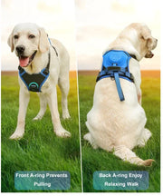 Dog Harness and Retractable Leash Set All-in-One